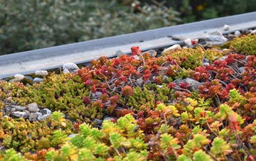 the cost of Dadford green roof installation