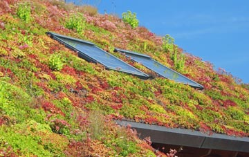 Dadford living roof systems